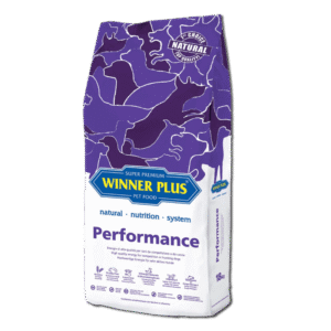 Performance