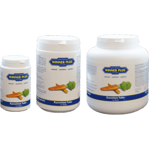 WINNER PLUS Worteltabletten met biotine
